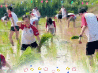 手把青秧插滿田，低頭便見水中天