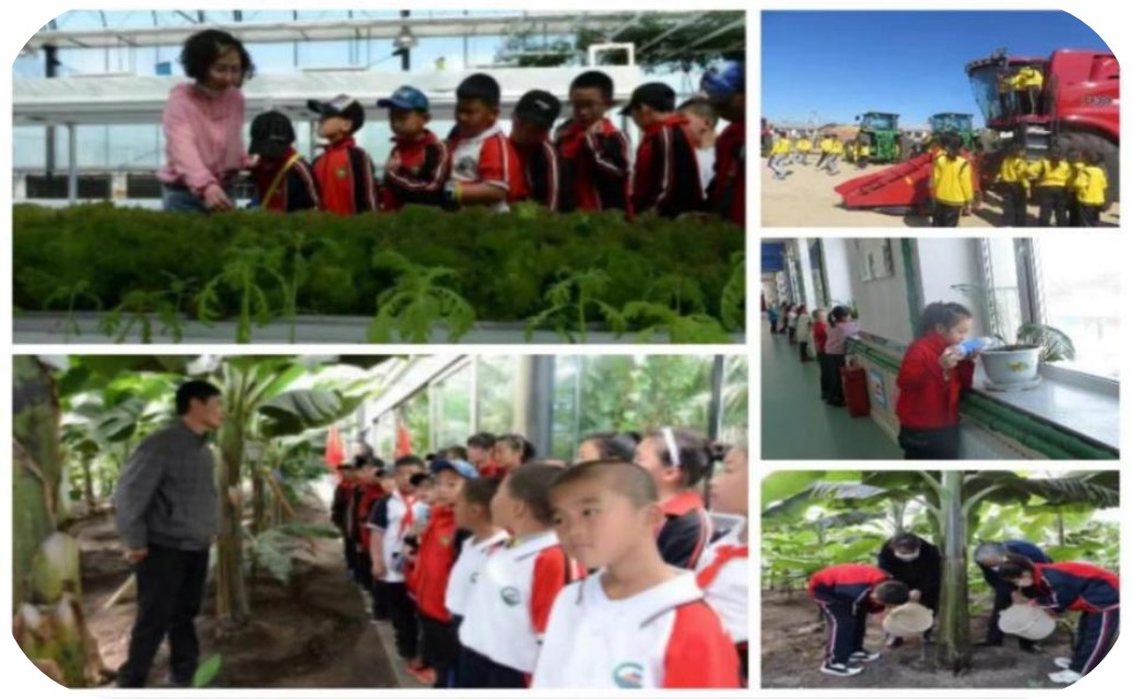 1715218178454382.jpg 01.jpg