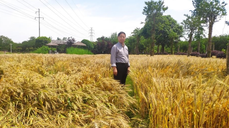 1716535412670695.png 微信截圖_20240524152320.png