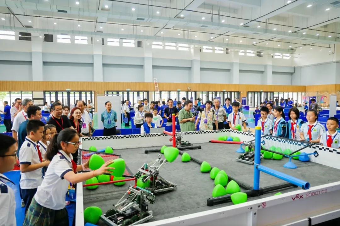 1717028857963583.jpg 10.jpg