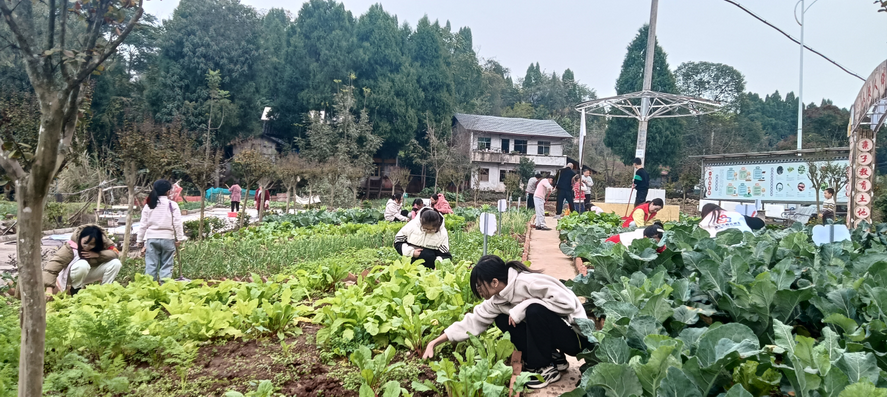 1717729233450921.png 圖片3.png