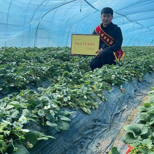 江蘇省徐州市銅山區(qū)大彭鎮(zhèn)關工委幫扶青年致富能手楊國強創(chuàng)辦桂發(fā)家庭農場