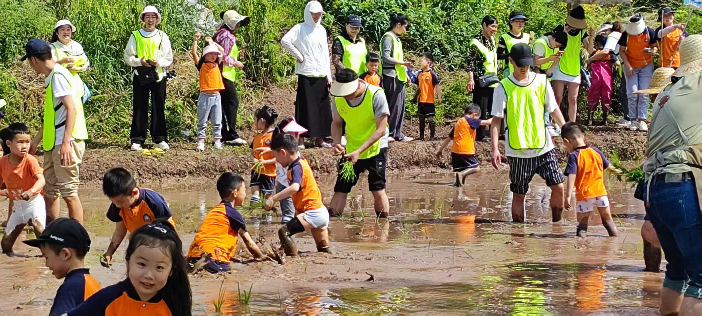 萌娃小手栽秧苗  體驗(yàn)“粒粒皆辛苦” —— 四川自貢高新區(qū)華景社區(qū)關(guān)工委組織少年兒童春耕實(shí)踐體驗(yàn)活動(dòng)