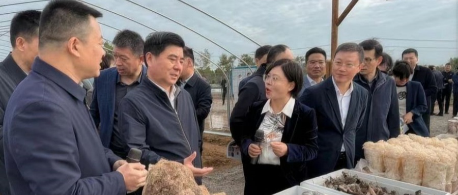 江蘇省徐州市銅山區(qū)新區(qū)街道關(guān)工委優(yōu)秀輔導(dǎo)員厲芳熱心傳授青年食用菌技術(shù)