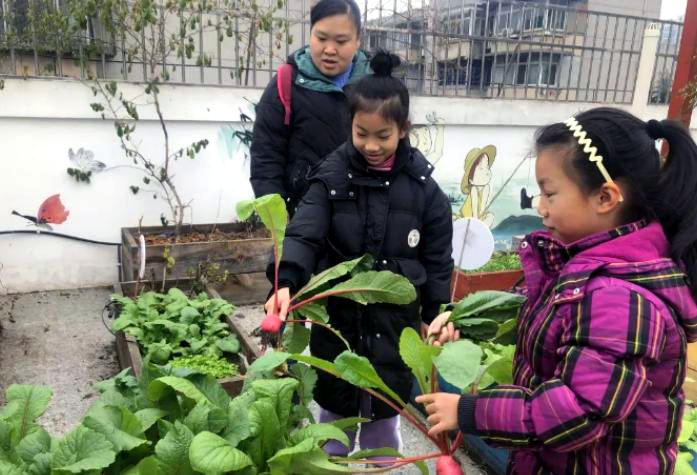 1704789818626274.png 1.png