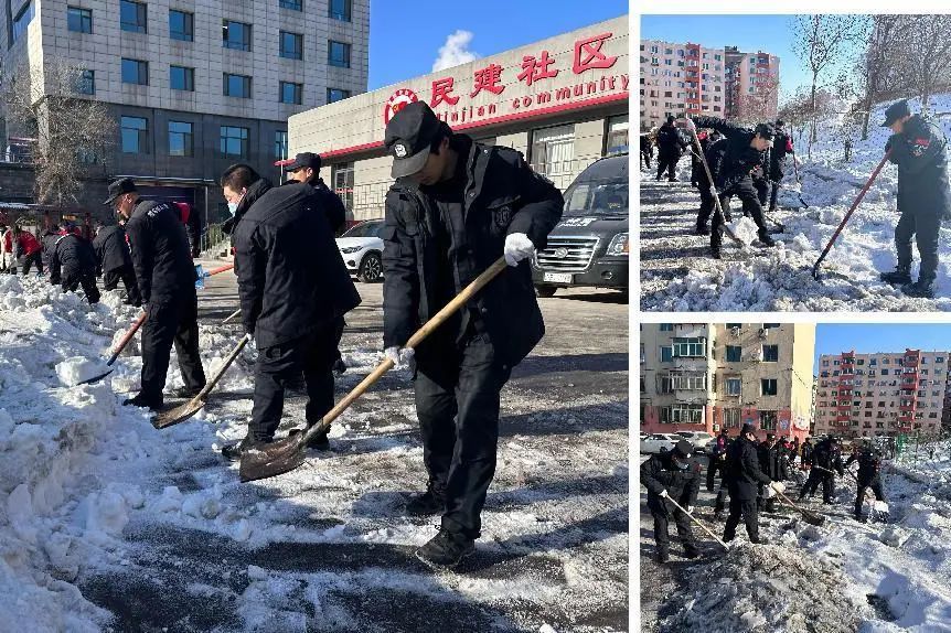 1705024512153645.jpeg IMG_20240112_095354195.jpeg