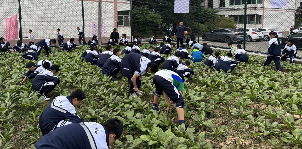 1705043611442720.png 圖片2.png