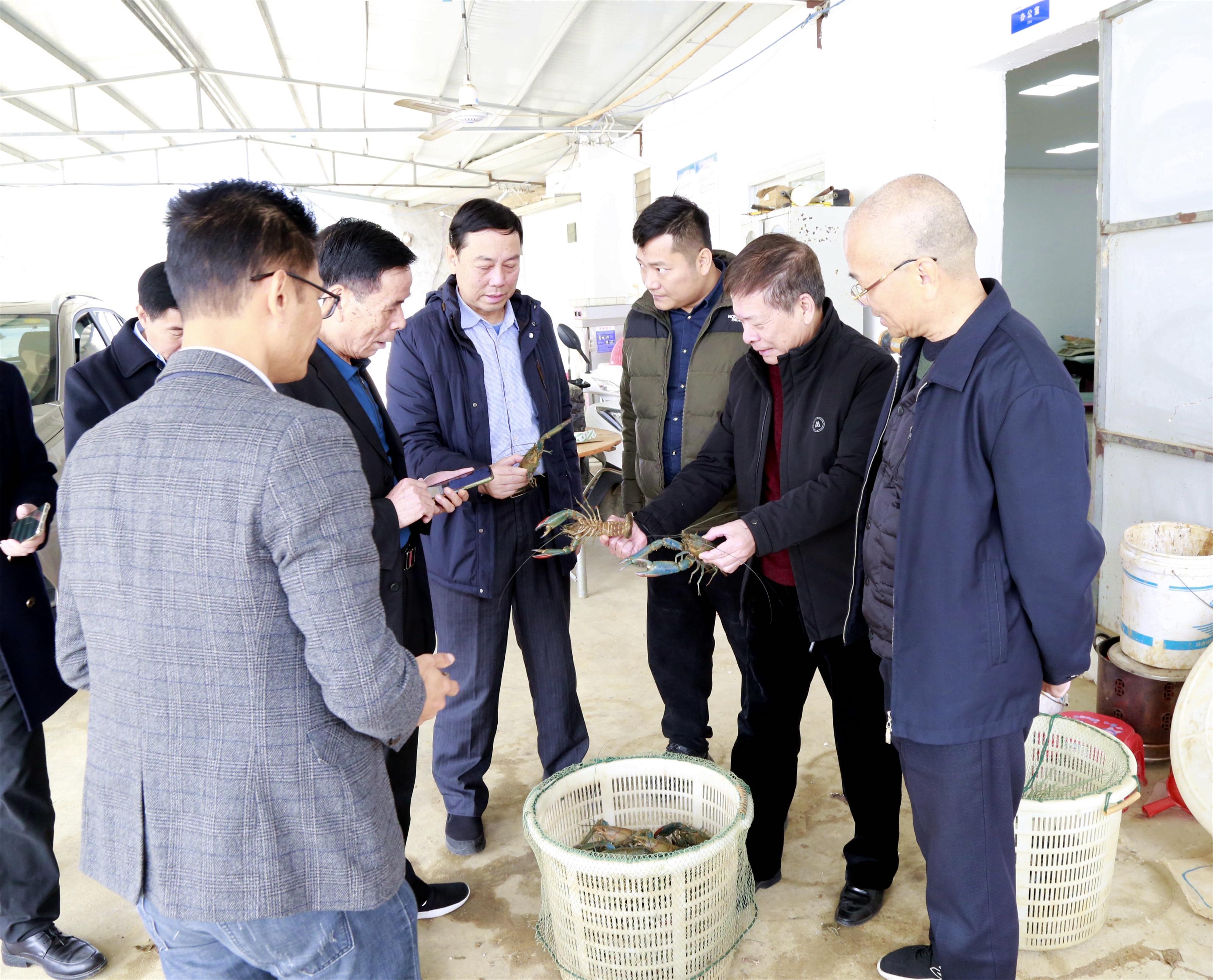 1709537331534122.jpg 2.0.jpg