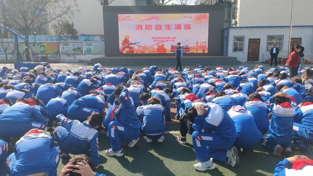 1710907639219616.jpg 1528964557.jpg