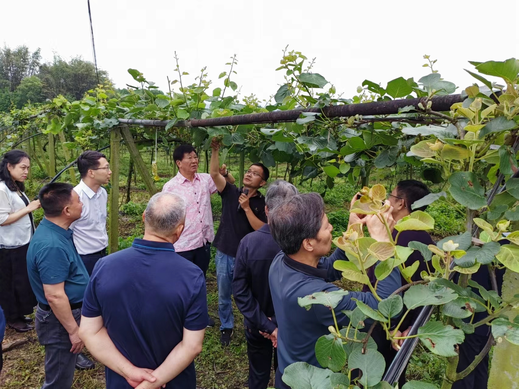 1714474939613253.jpg 5862b4cf596f2a833c38590b340883d.jpg