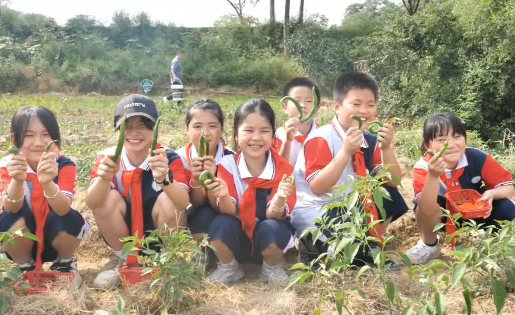 1716158166437093.jpg 勞動1.jpg