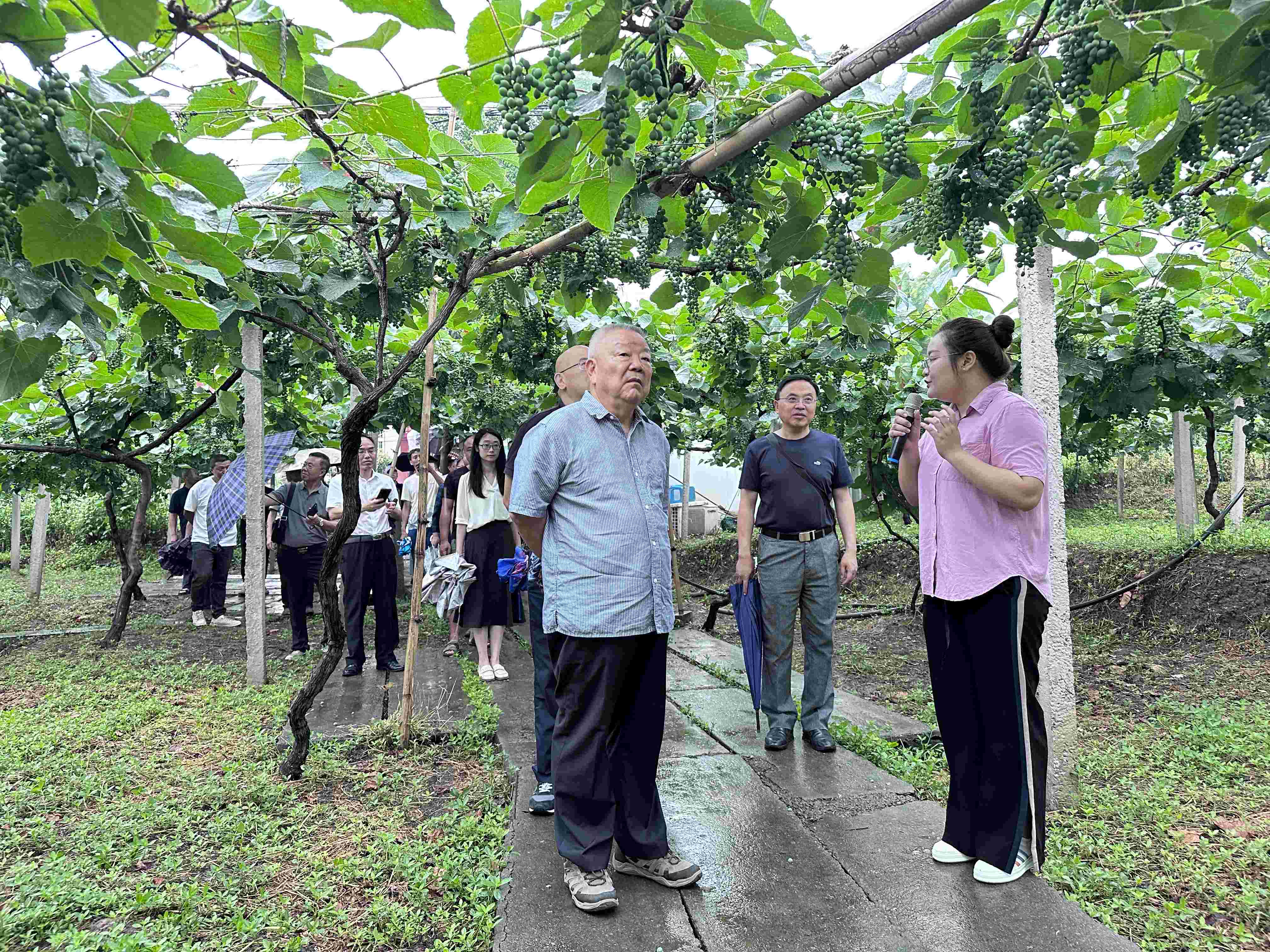 1716978065443279.jpg 22ccb95bb6068eeb4083d5f07f15fa4.jpg