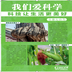 1719910591177263.png 1.png