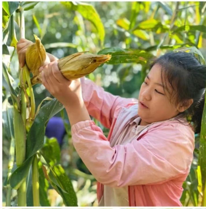 1728972723889292.jpg 微信圖片_20241015104802.jpg