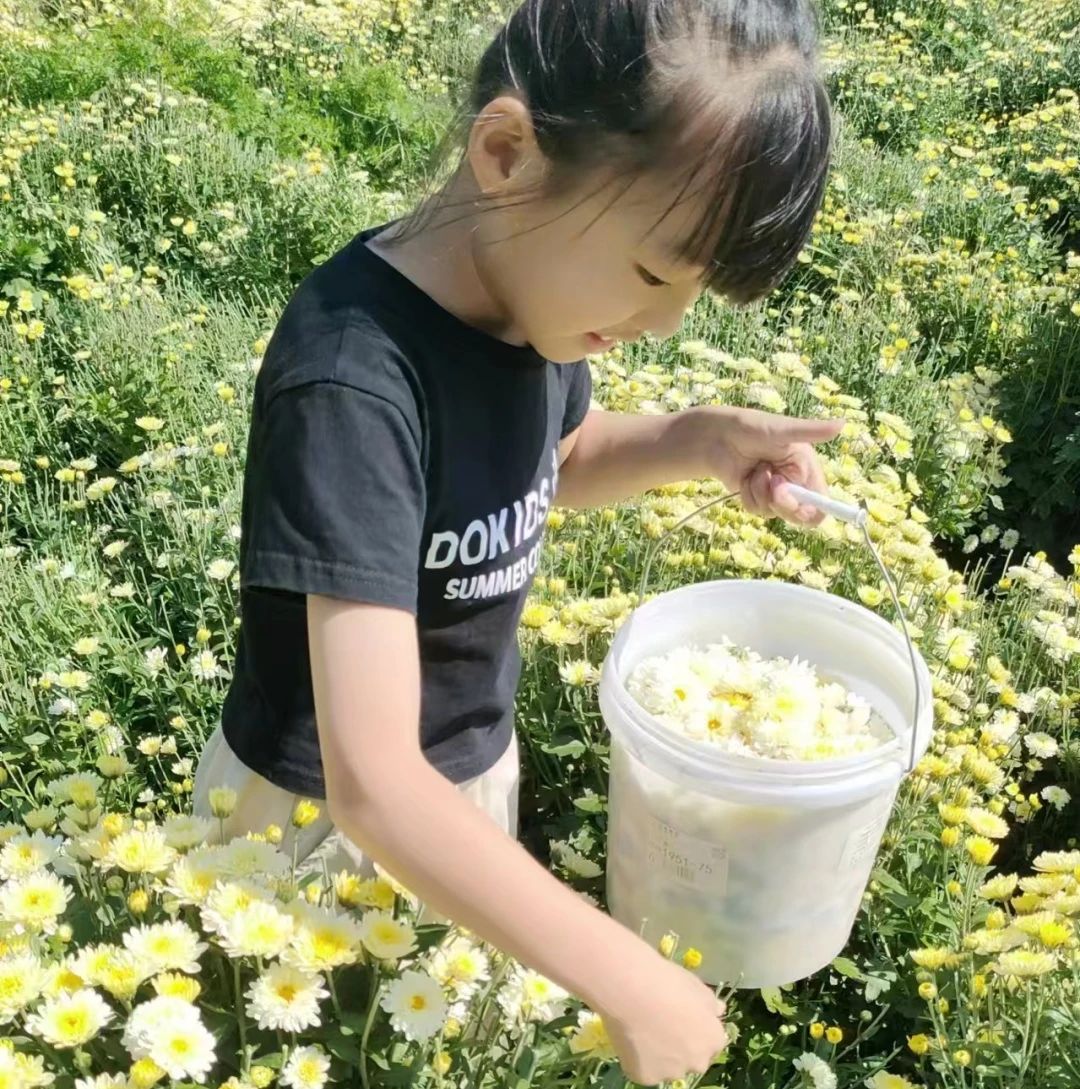 1728972791231150.jpg 微信圖片_20241015104735.jpg