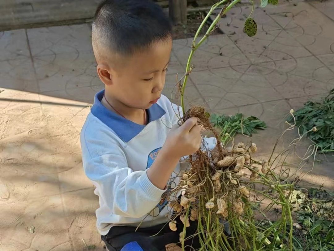 1728972875325471.jpg 微信圖片_20241015104828.jpg