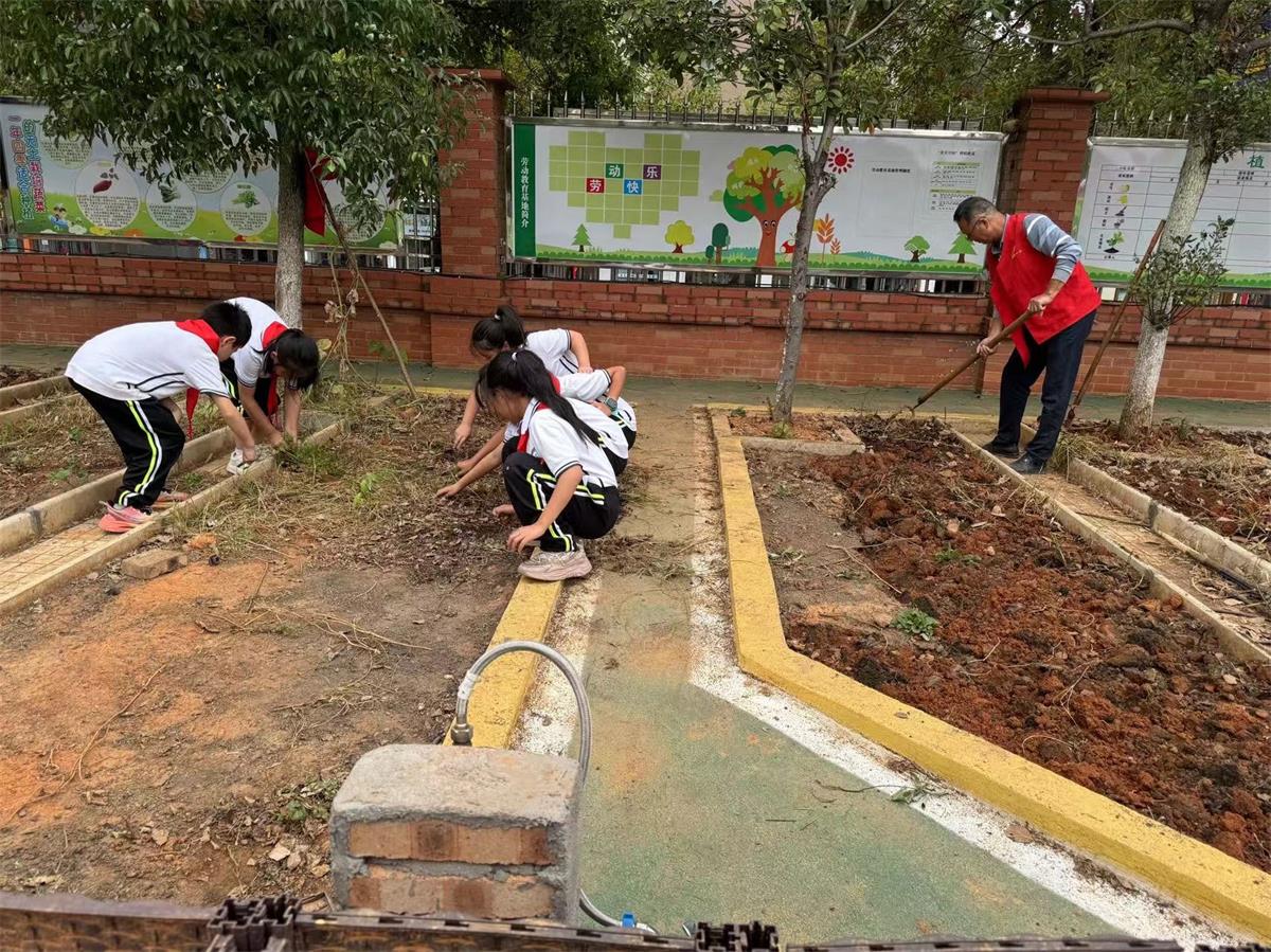 1729858789429823.jpg 61036359@37030844.FE110E67_recompress.jpg