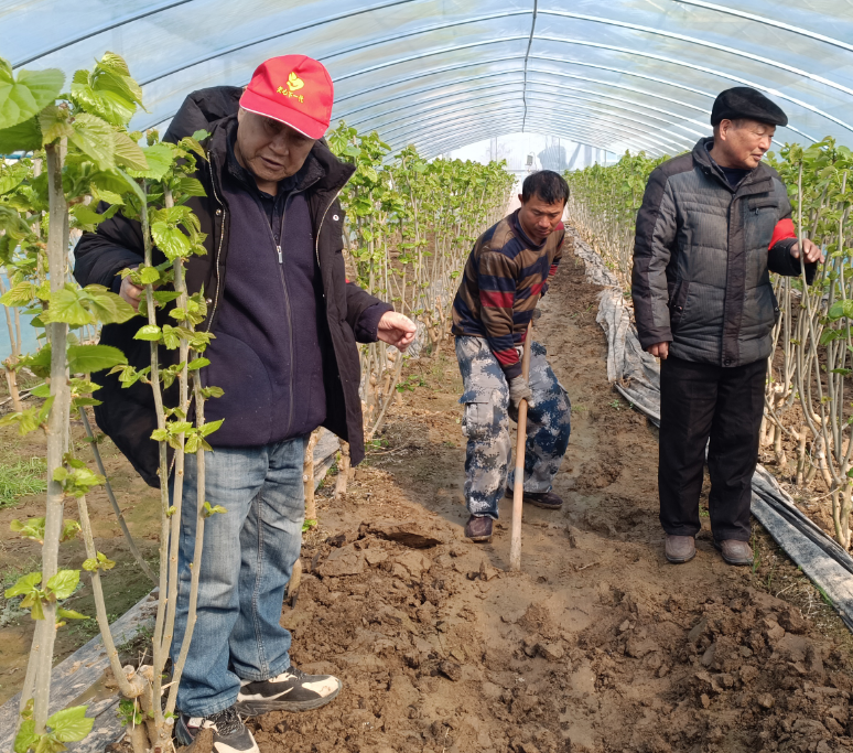 1740379668528726.png ea828fd264bba4873f0a08b1fb9a930.png