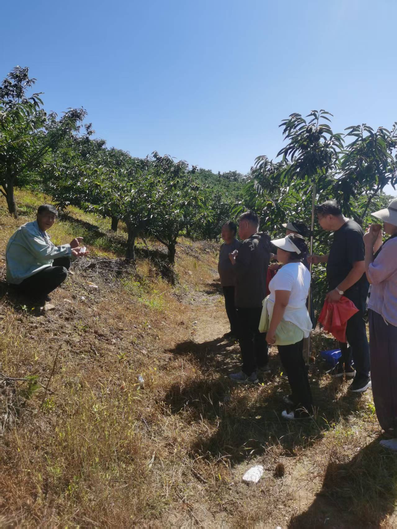 1740643512783587.jpg 王海悅1.jpg