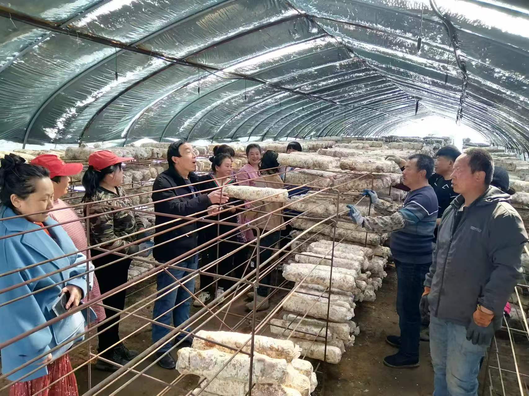 1740878779367870.jpg 微信圖片_20250302084638.jpg