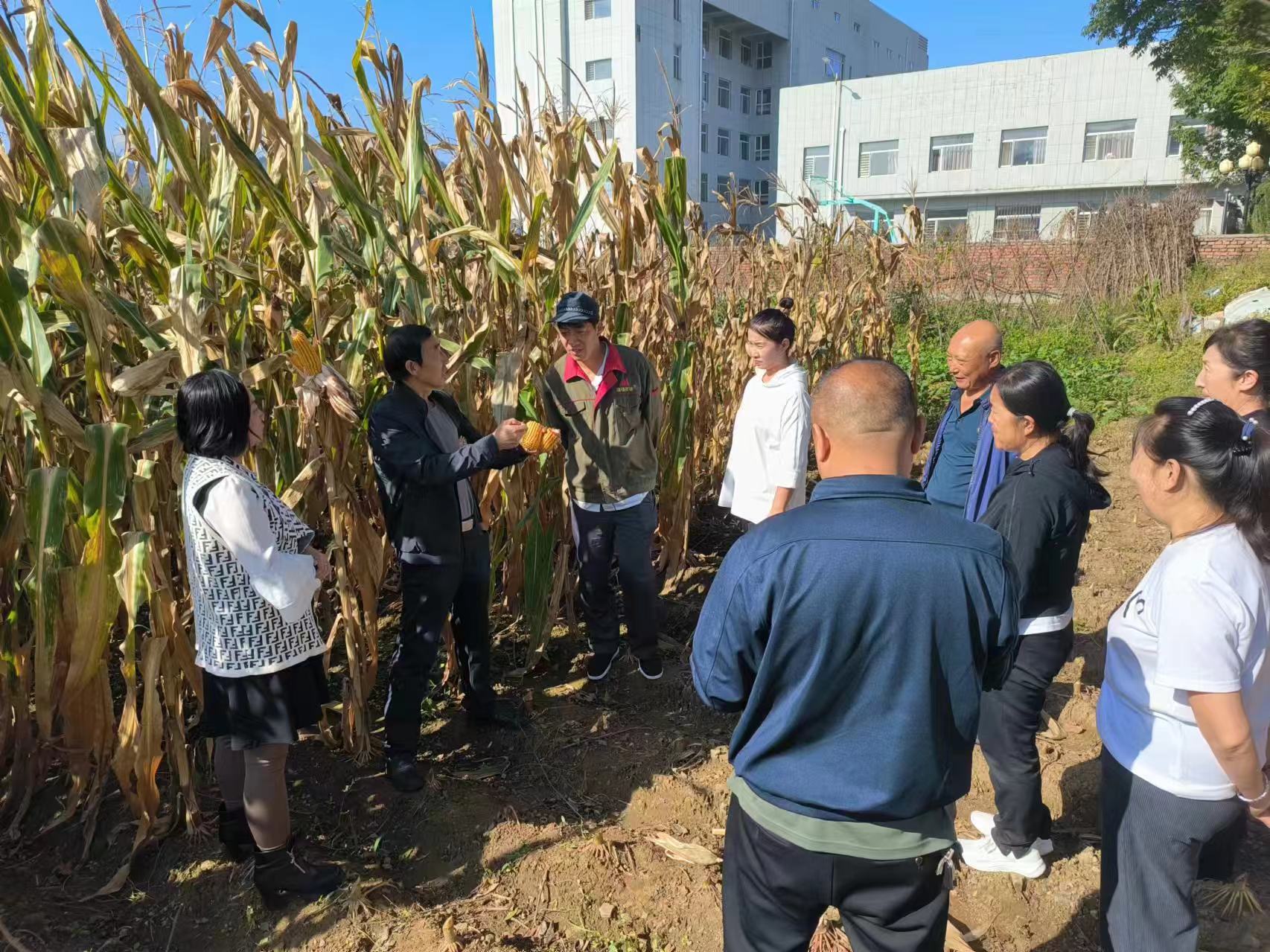 1740878867305360.jpg 微信圖片_20250302084653.jpg