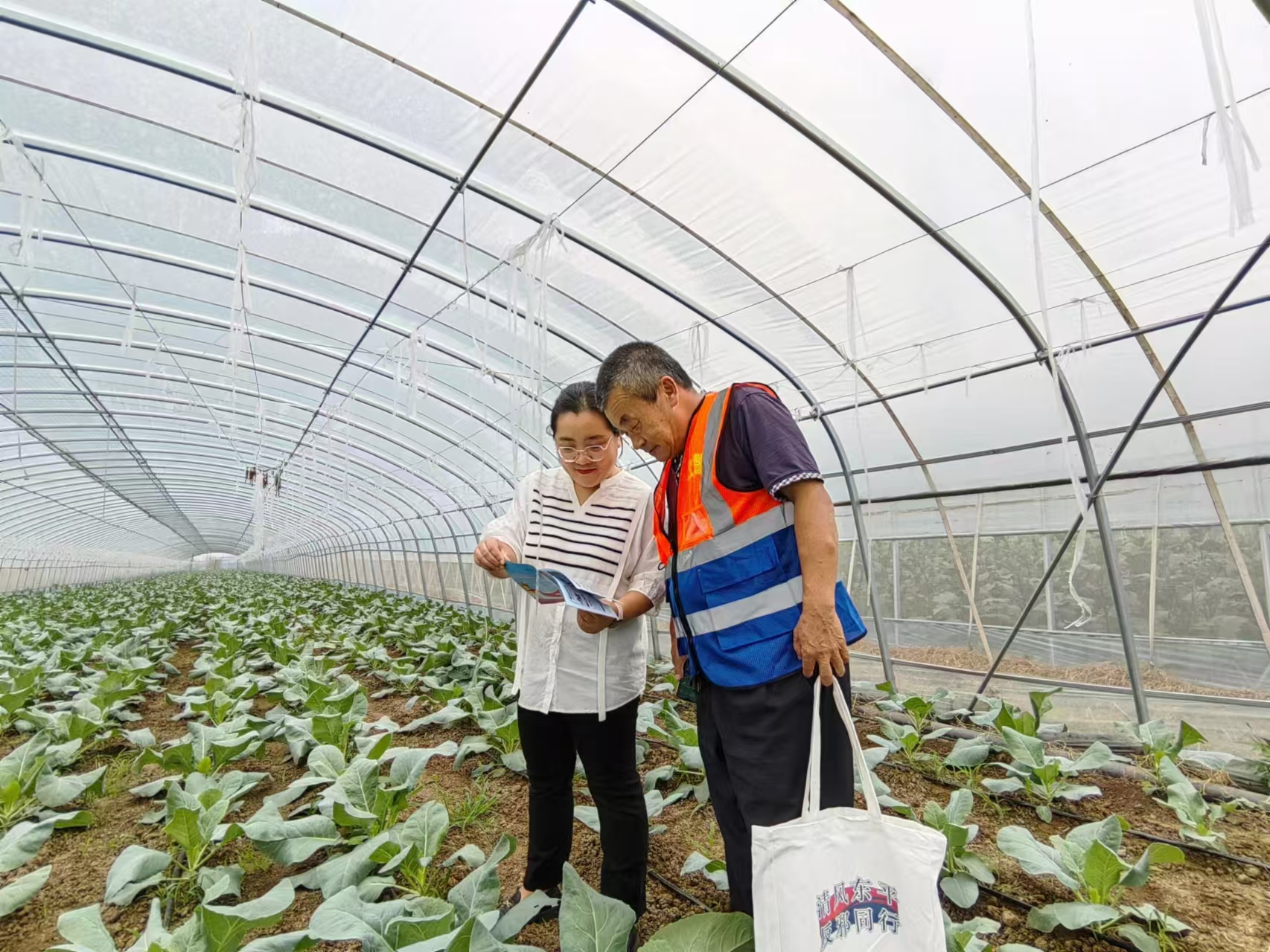 1740964981147435.jpg 3.jpg