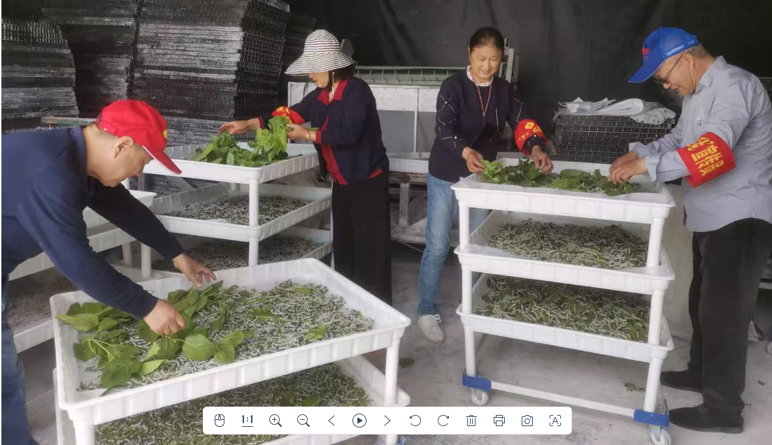 1745743373229358.png 6e8e4bb618e29ca9bfa37e080c15796.png