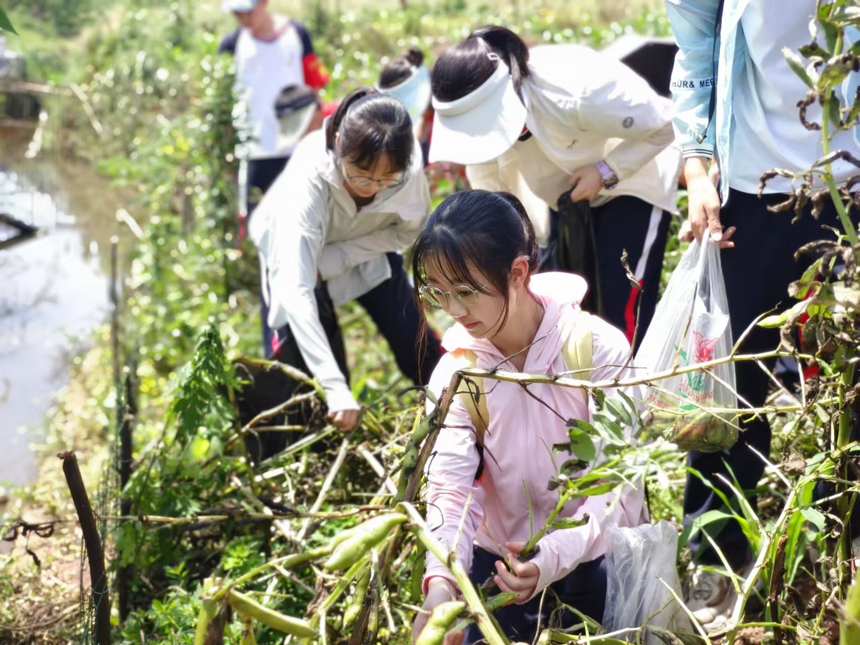 1746500753606415.jpg mmexport1746077766506.jpg