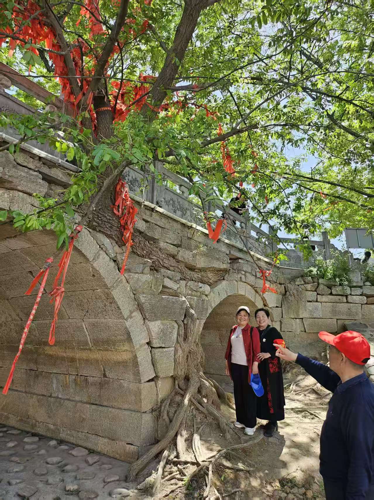 1746689218732483.jpg 7146f88d66e6b986fd9dbe823cbbab0.jpg