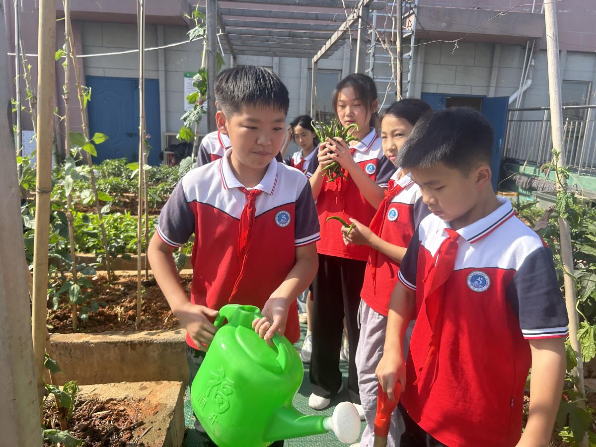 1747982056354709.jpg 微信圖片_20250520223858.jpg