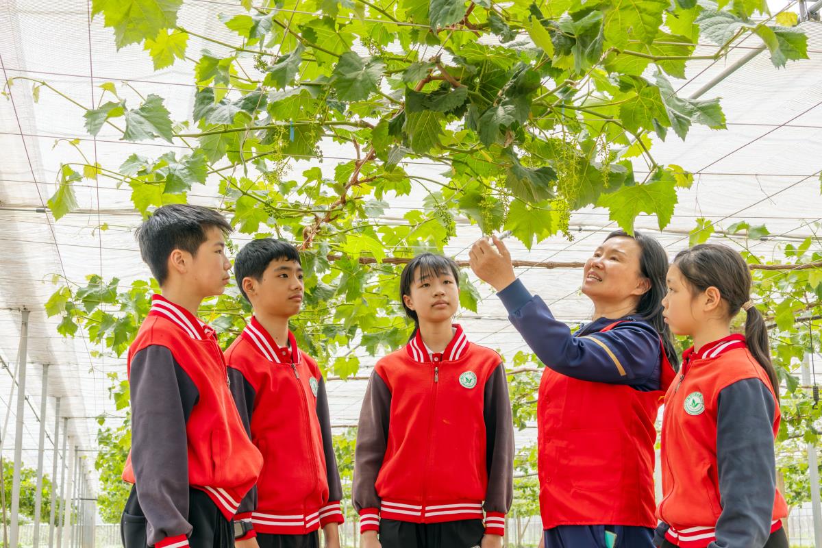 1748407896864025.jpg e18819830bccb80478b2bbb66f1721d.jpg