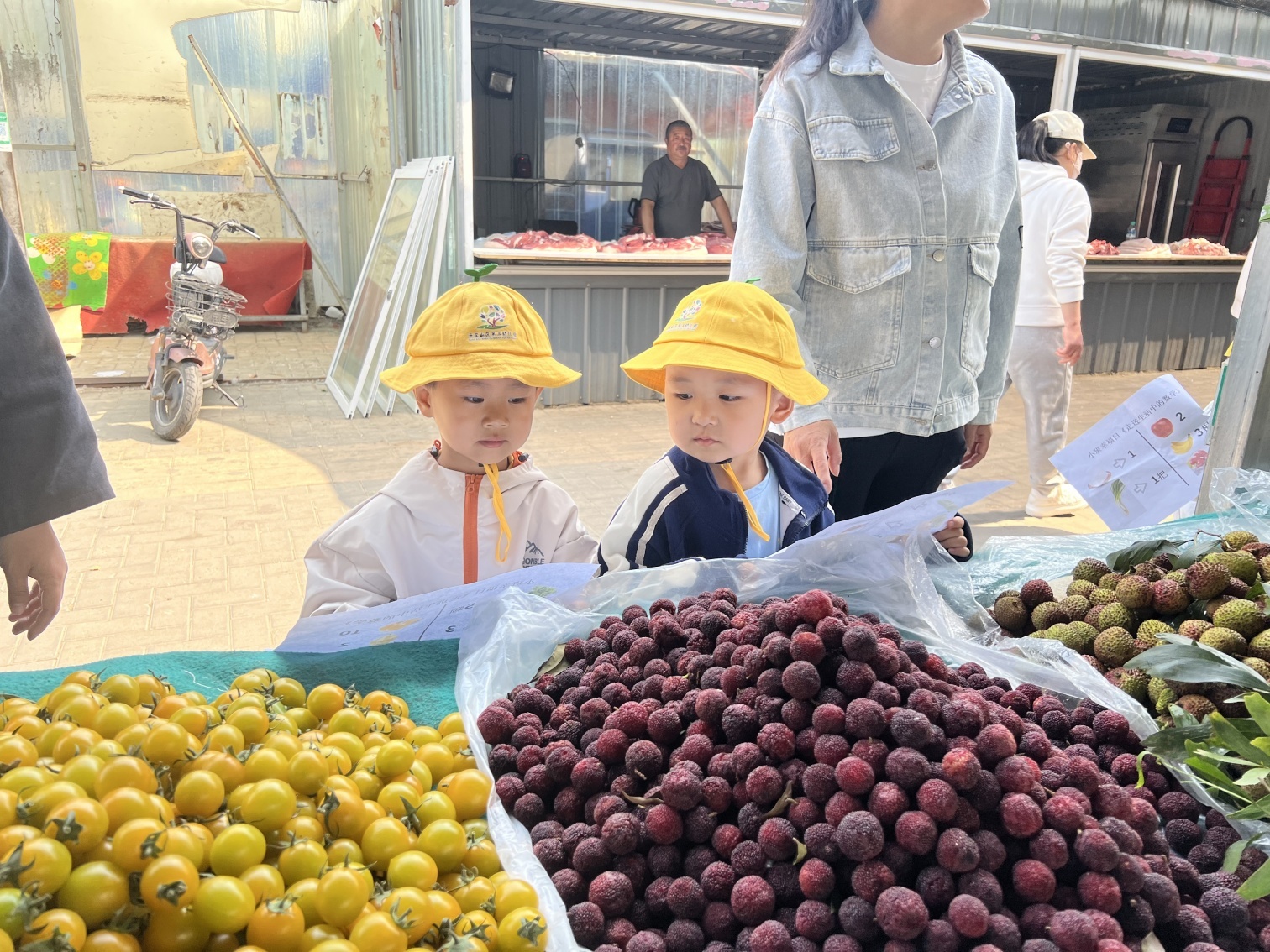 元寶山區(qū)第三幼兒園“菜場大探秘，幼兒趣體驗活動照片4_副本_副本.jpg