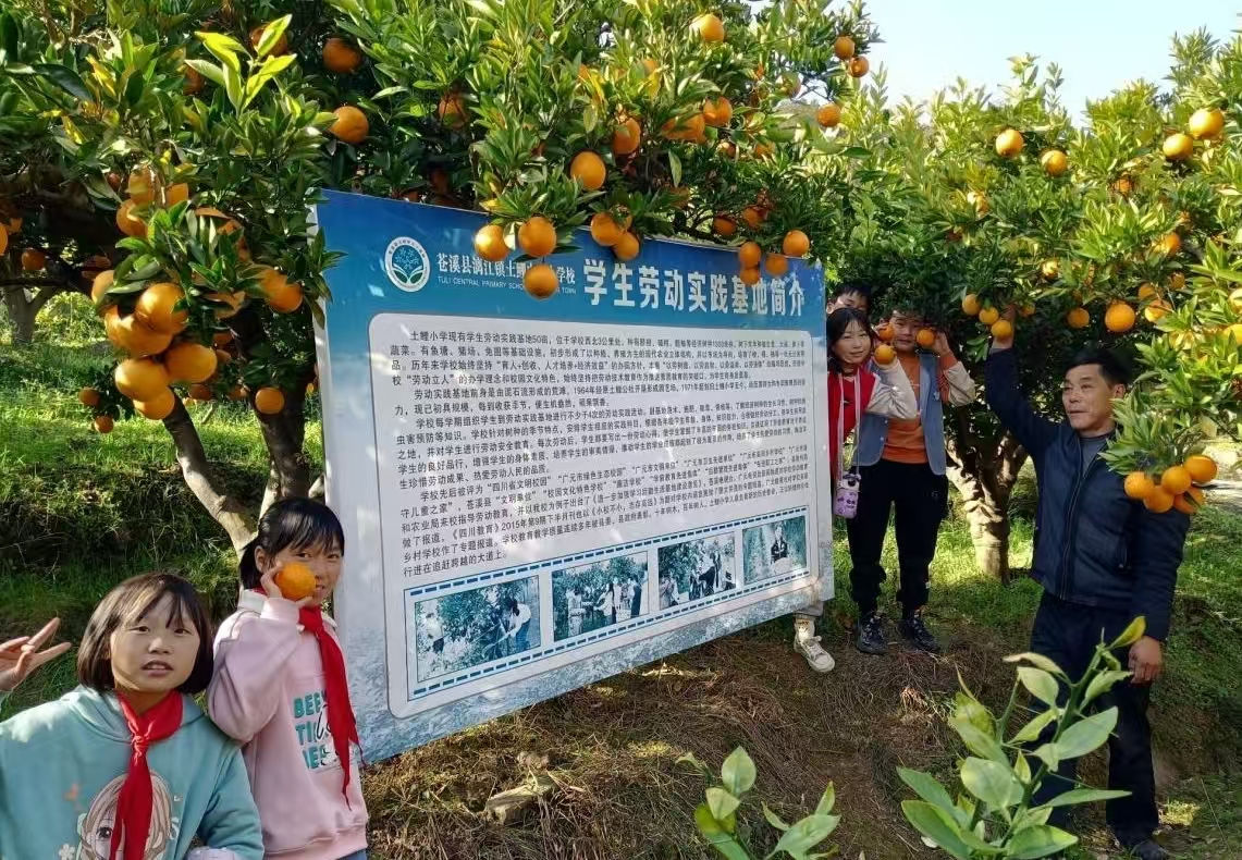 1748932642688107.jpg 1.jpg