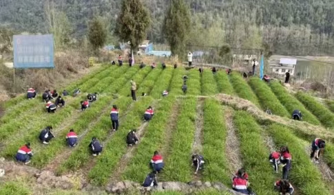 1748932829853980.jpg 3.jpg