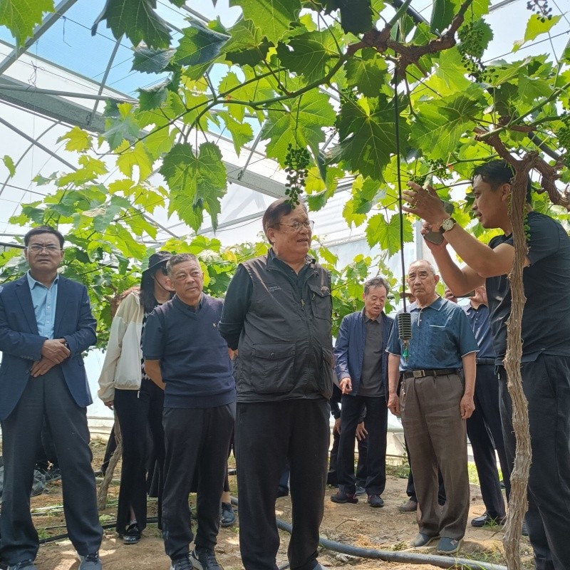 1749178290272326.jpg 001.jpg