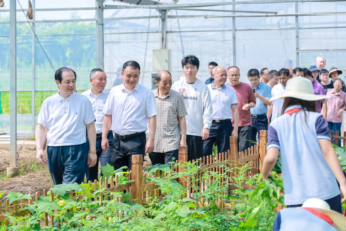 1751010764240213.png 1751010764240213.png