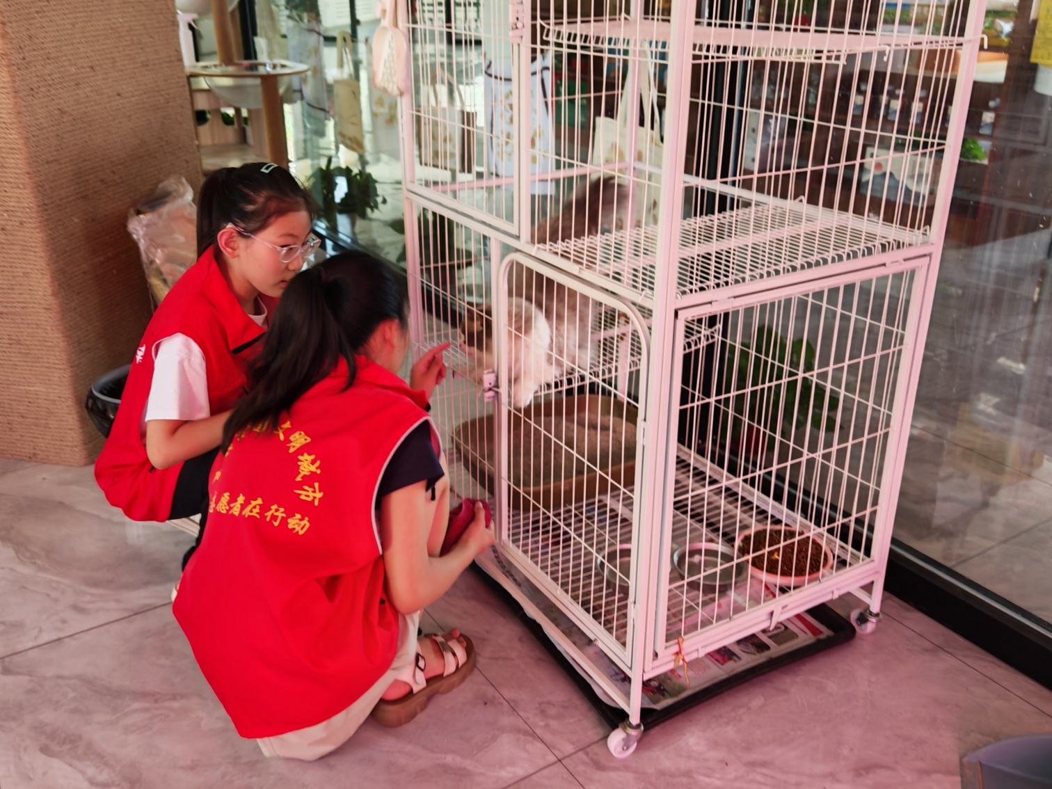 1753667861492341.jpg 元寶山區(qū)西城街道新景四季東社區(qū)“小小治理家 社區(qū)大管家”活動(dòng)照片4_副本.jpg