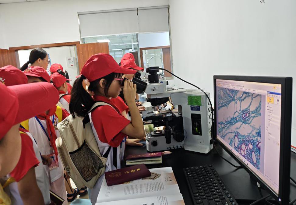 1756431234962440.jpg 圖片4.jpg