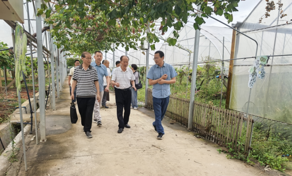 1758705084842550.png 圖片1.png