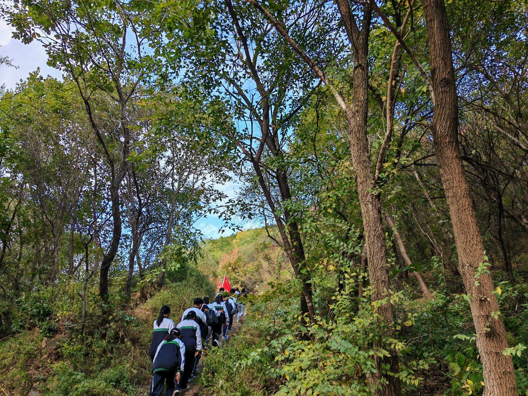 1759209017496249.jpg 4.jpg