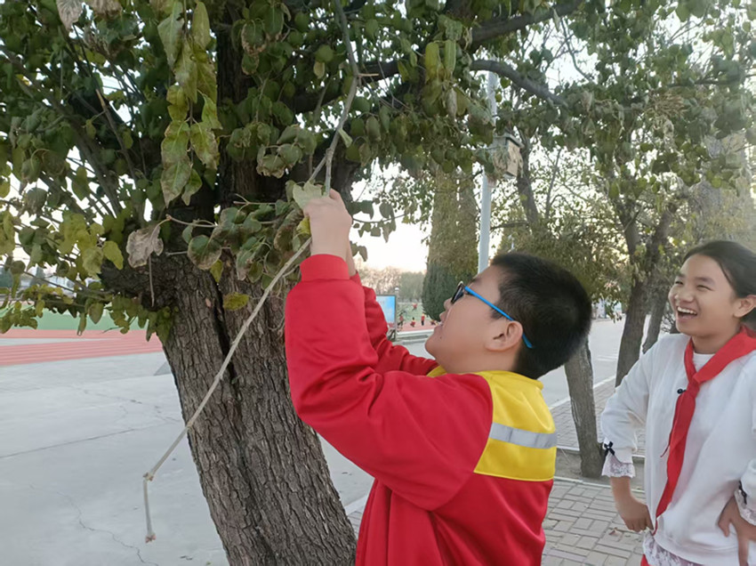 1763968977549323.jpg 元寶山礦區(qū)小學(xué)“一樹一班一世界”活動(dòng)照片4_副本.jpg