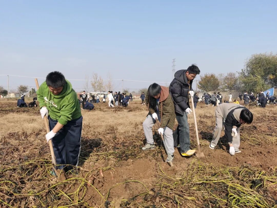 1764033254364779.jpg 勞動(dòng)場(chǎng)景.jpg