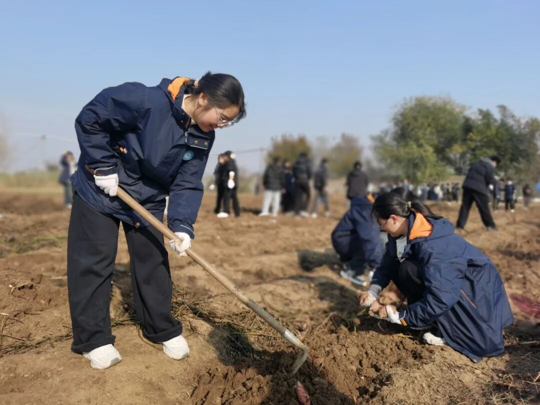 1764033283933621.jpg 勞動(dòng)場(chǎng)景2.jpg