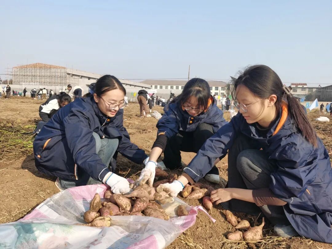 1764033295817618.jpg 勞動(dòng)場(chǎng)景3.jpg