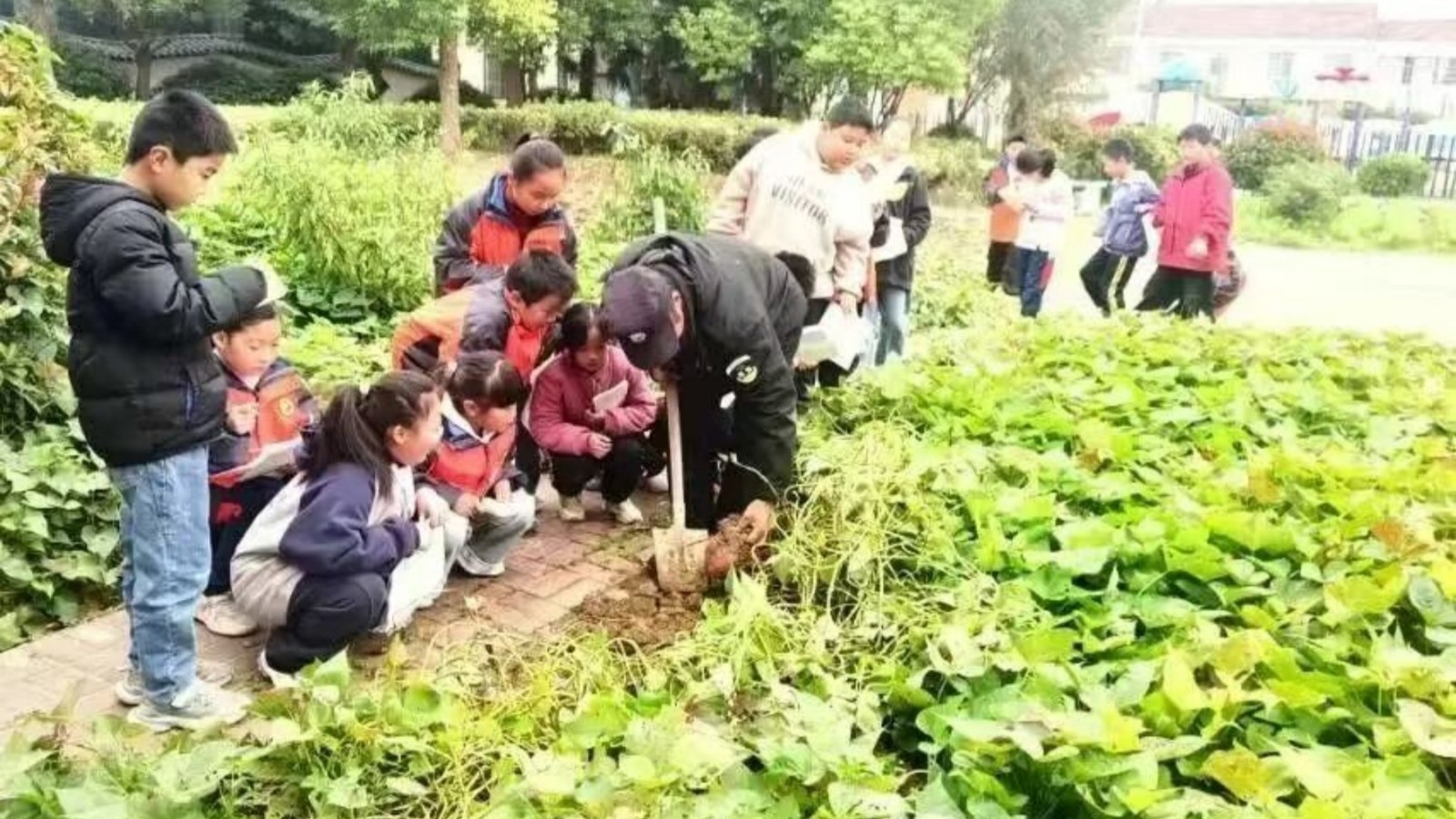 1765956804325918.jpg 03.jpg