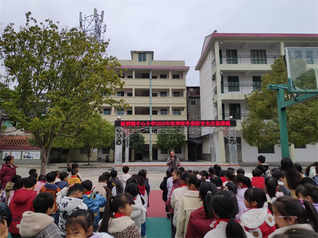 1767086141980205.jpg 3.jpg