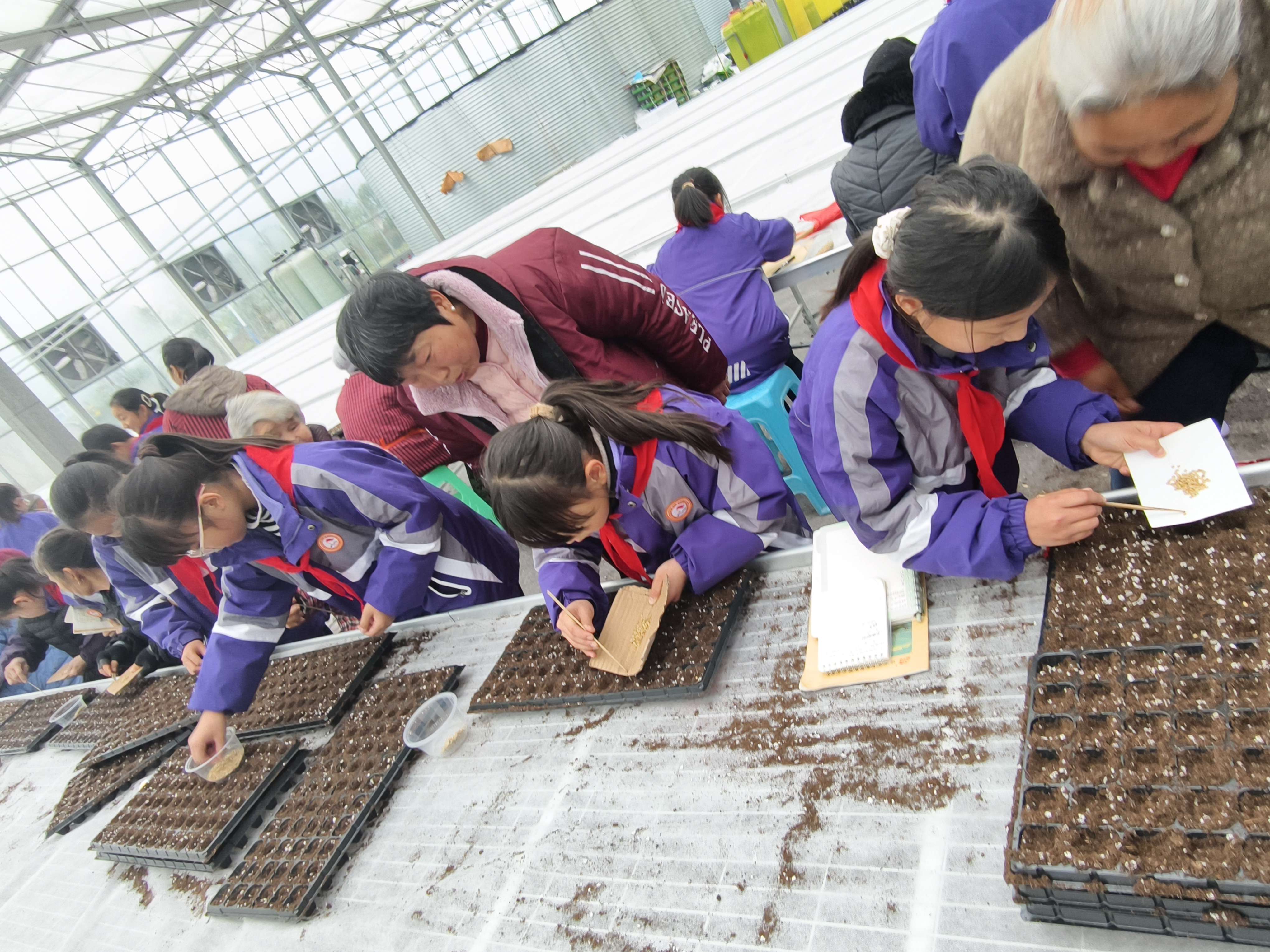 1767767984610368.jpg 圖片5.jpg