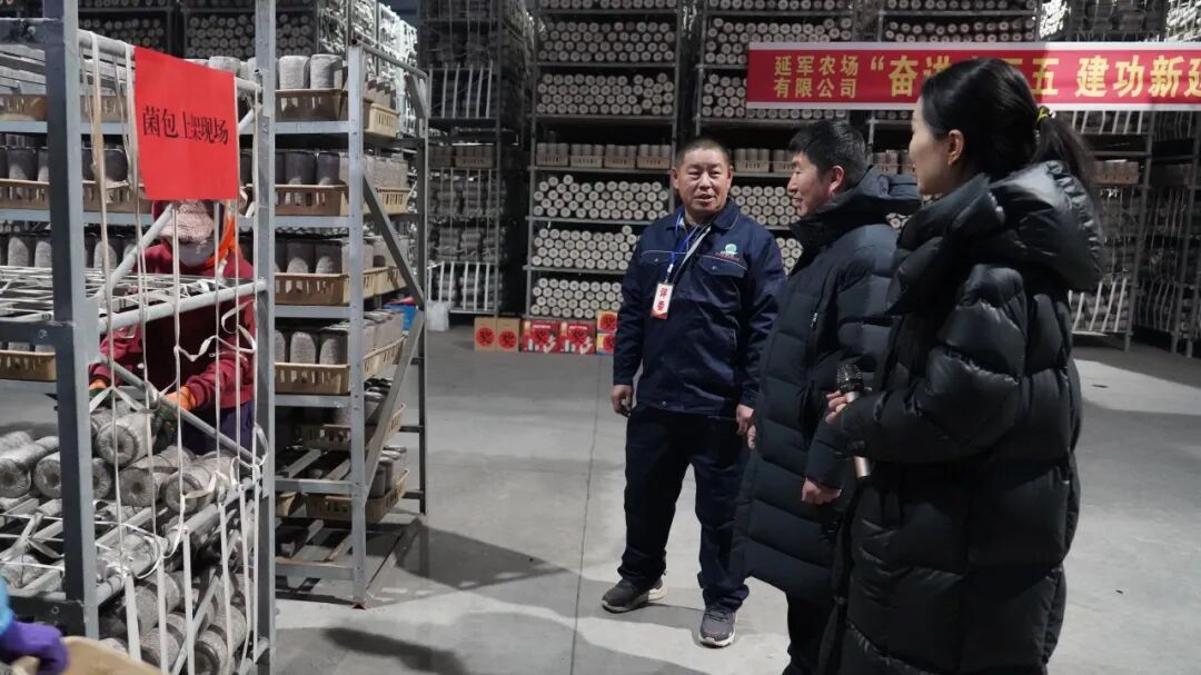 1767926914388379.jpg 2.jpg