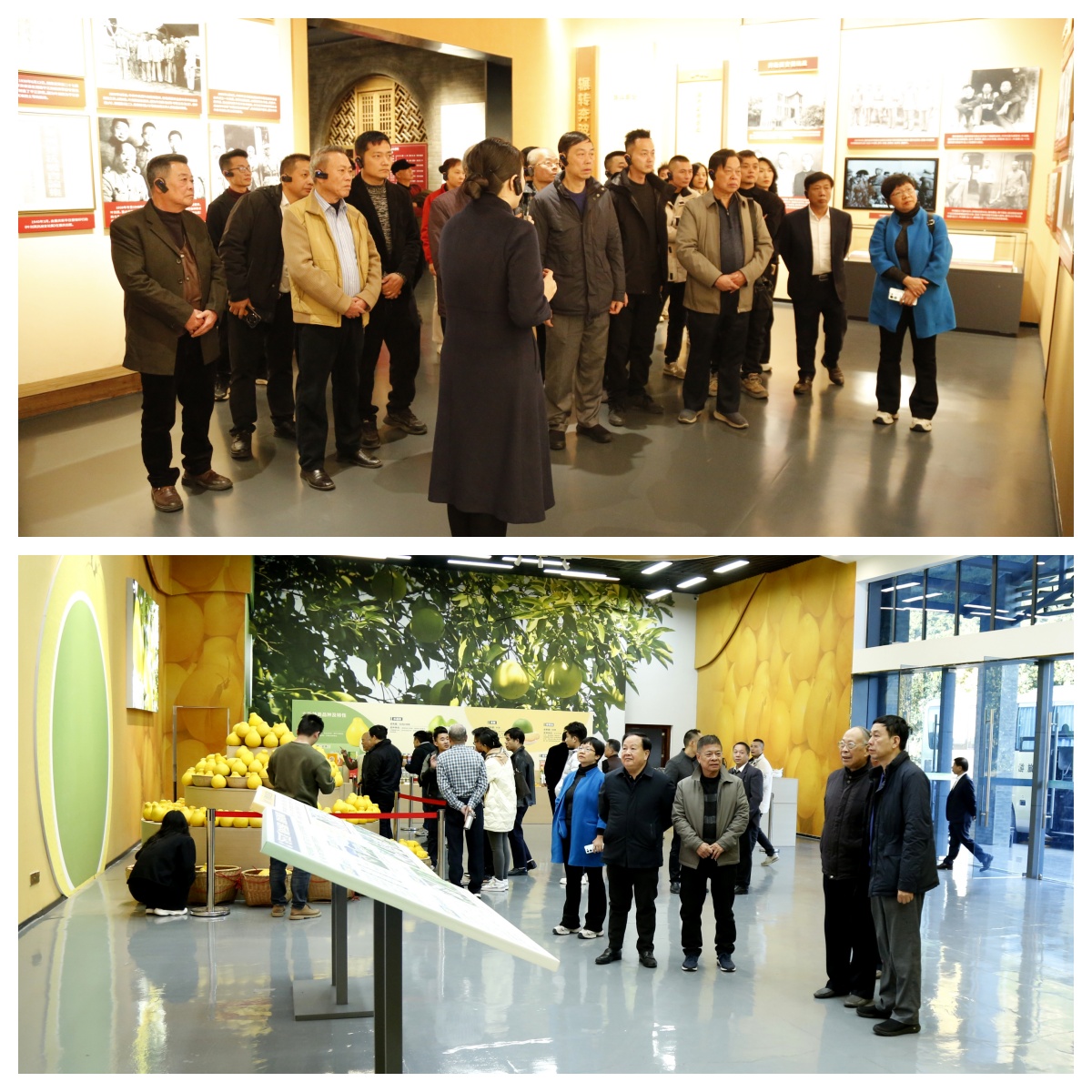 1767945635724809.jpg 3.jpg