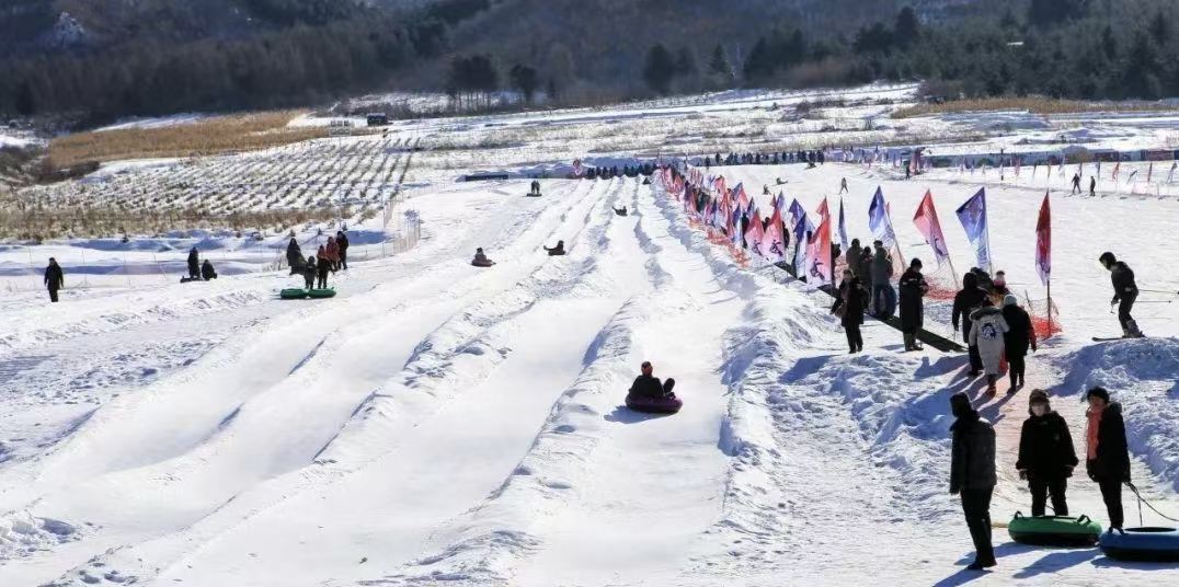 1768266296555985.jpg 2.jpg